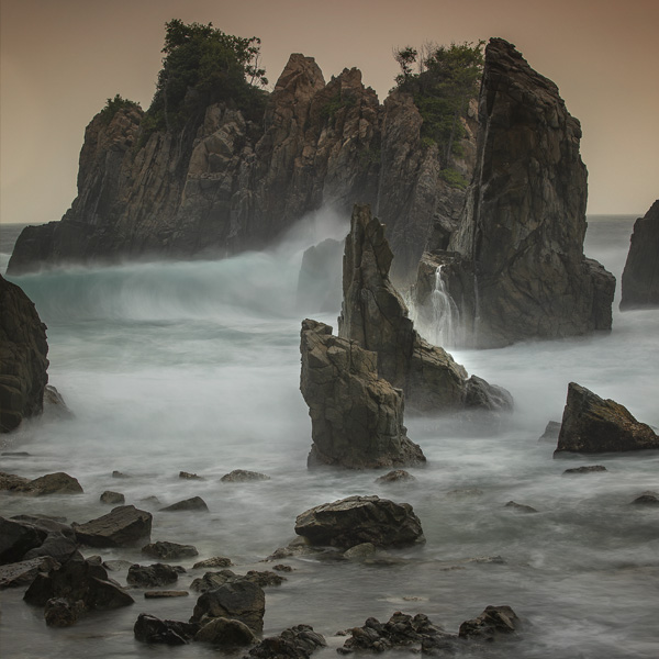 LANDSCAPE